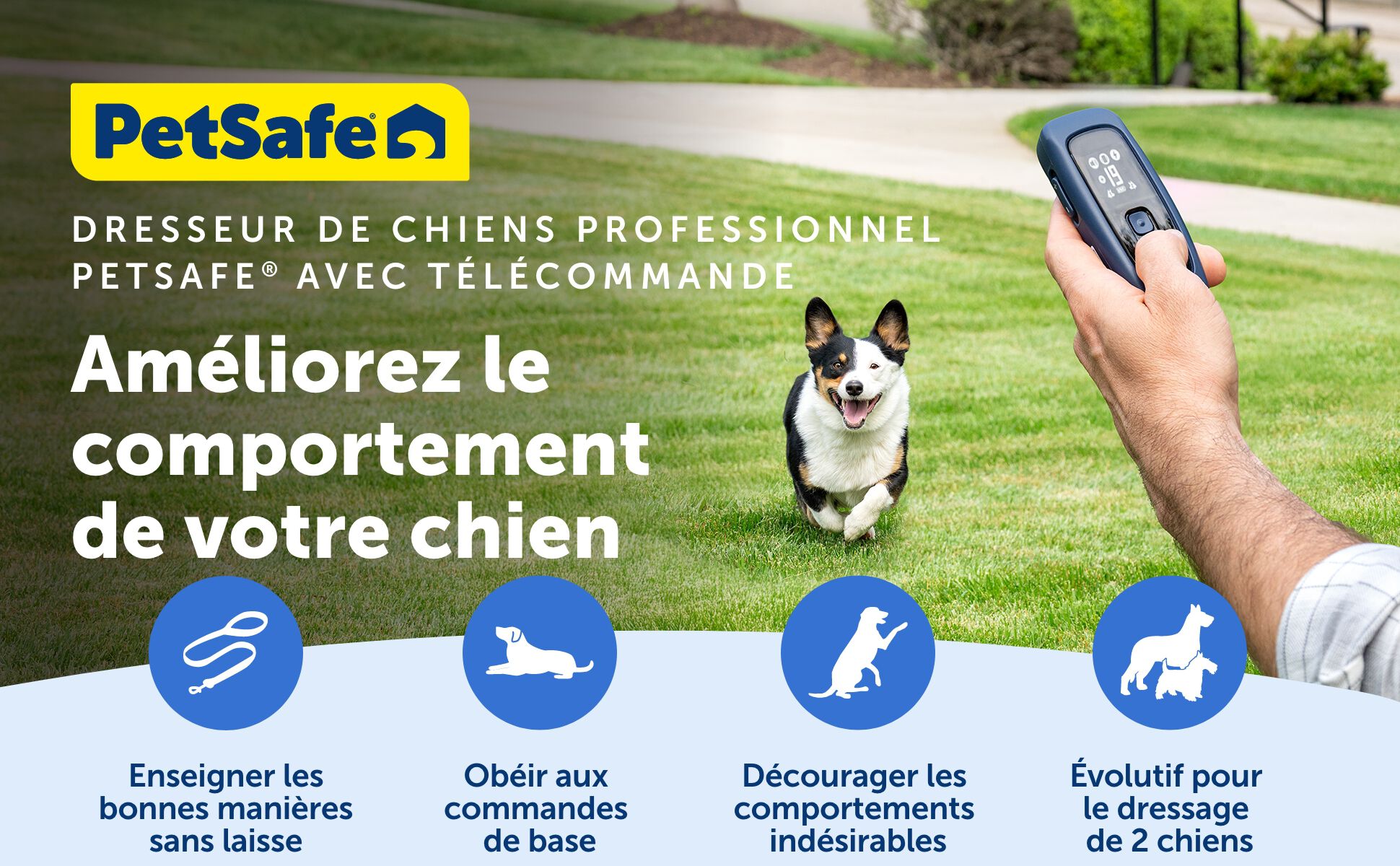 PetSafe - Collier Aide &agrave; l'Education Suppl&eacute;mentaire Pro Dog pour Chiens - x1 Image num&eacute;ro 5