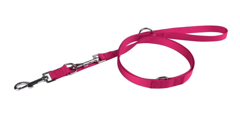 Animalis - Laisse Multifonction Basic 20mm et 200cm pour Chien - Fuchsia Image numéro 1 Animalis - Laisse Multifonction Basic 20mm et 200cm pour Chien - Fuchsia Image numéro 1