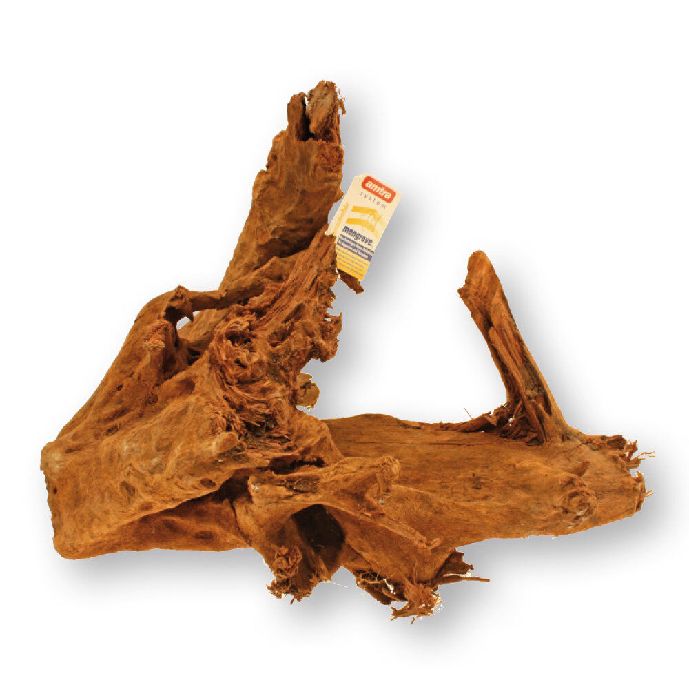 Amtra -  Racine Naturelle Mangrovia - S Image num&eacute;ro 1