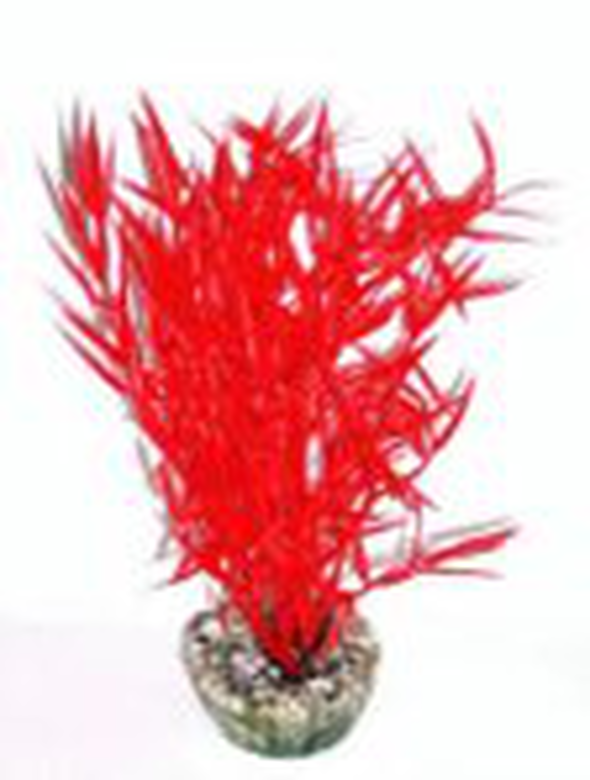 Labeo - Herbe marine colorée - Plante Artificielle Aquarium image number null