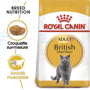 Royal Canin - Croquettes BRITISH SHORTHAIR ADULT Pour Chat