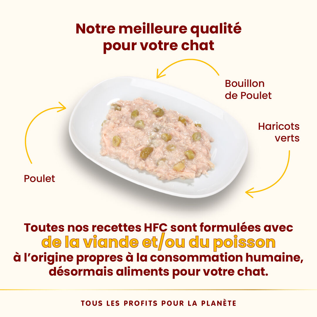 Almo Nature - P&acirc;t&eacute;e en Bo&icirc;te HFC au Poulet et Haricots Verts pour Chat - 70g Image num&eacute;ro 4