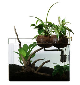 CocoPlant - Filtration Naturelle Coco80 pour Aquarium