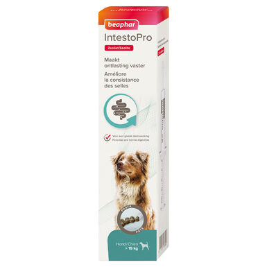 Beaphar - Pâte IntestoPro pour Chiens (> 15 kg) - 2x 20ml