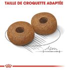Royal Canin - Croquettes Medium Ageing 10+ pour Chien Senior - 15Kg image number null