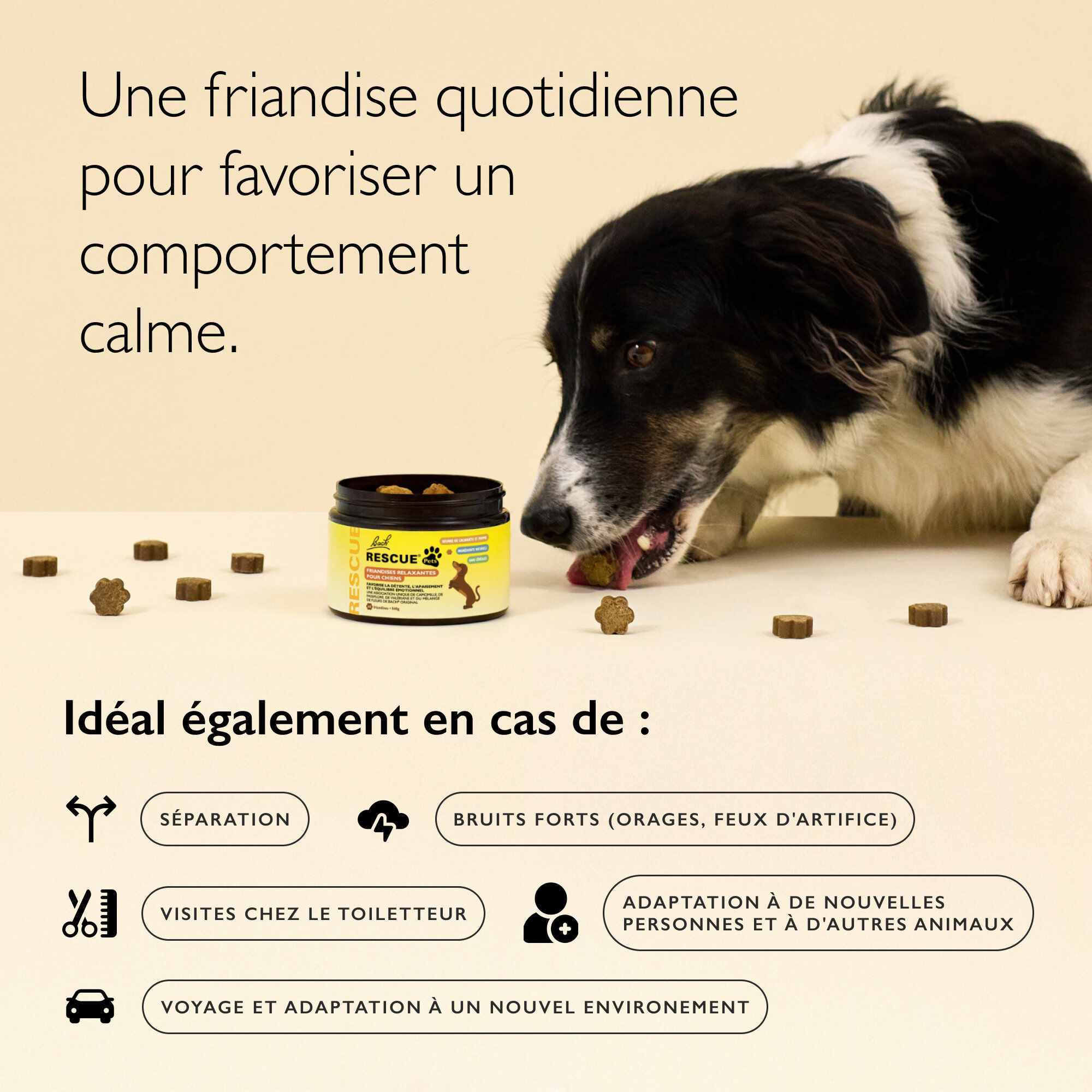 Rescue Pets - Friandises Relaxantes pour chiens - 160g Image num&eacute;ro 4