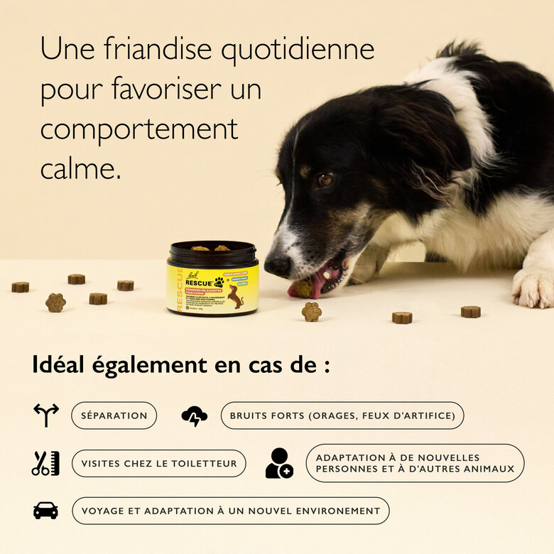 Rescue Pets - Friandises Relaxantes pour chiens - 160g Image numéro 4 Rescue Pets - Friandises Relaxantes pour chiens - 160g Image numéro 4