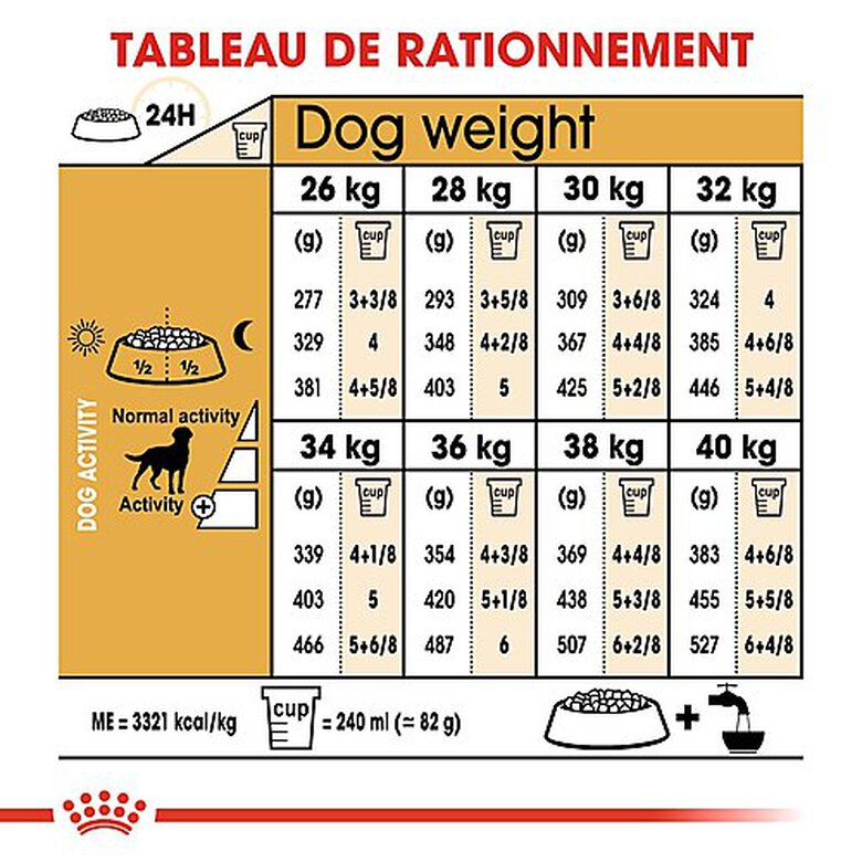 Royal Canin - Croquettes Labrador pour Chien Stérilisé - 12Kg image number null
