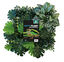 Repto - Décoration Repto Plant Back Wall Mat 25x25 Cm 3 Indicateur image numéro 1
