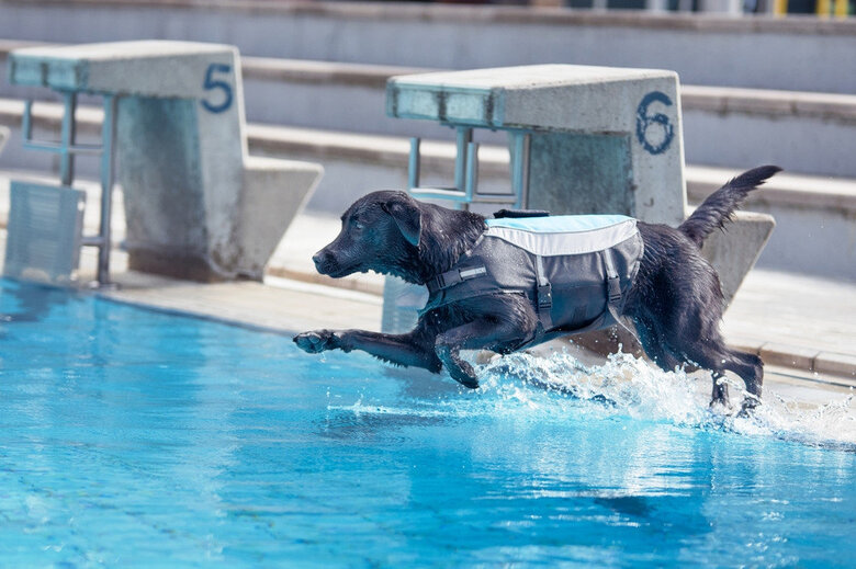 Alcott - Gilet de Sauvetage Life Jacket Blue pour Chien - M Image numéro 6 Alcott - Gilet de Sauvetage Life Jacket Blue pour Chien - M Image numéro 6