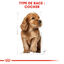 Royal Canin - Croquettes PUPPY COCKER pour Chiots - 3KG Indicateur image numéro 5