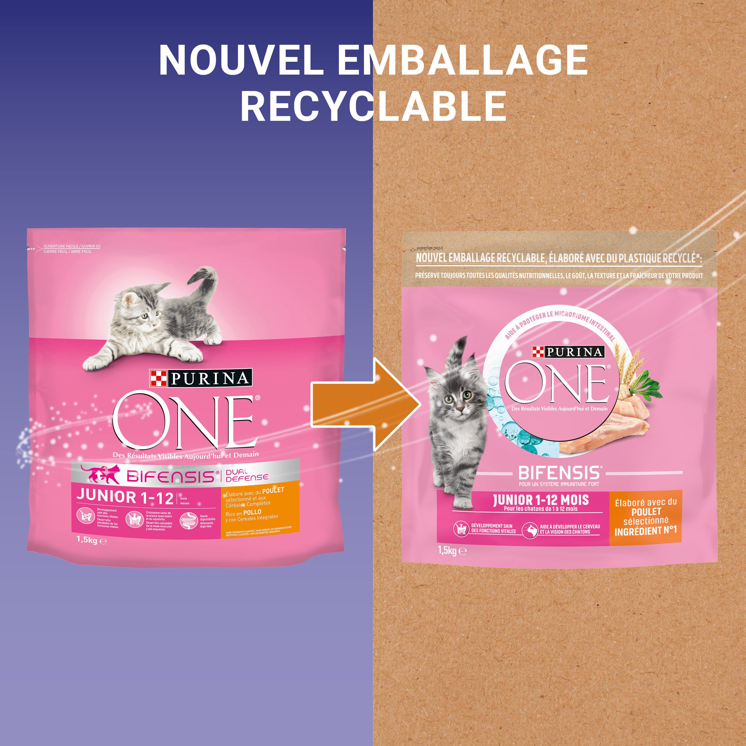 Purina One - Croquettes au Poulet et C&eacute;r&eacute;ales pour Chaton - 1,5Kg Image num&eacute;ro 8