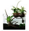 CocoPlant - Filtration Naturelle Coco80 pour Aquarium Indicateur image numéro 1