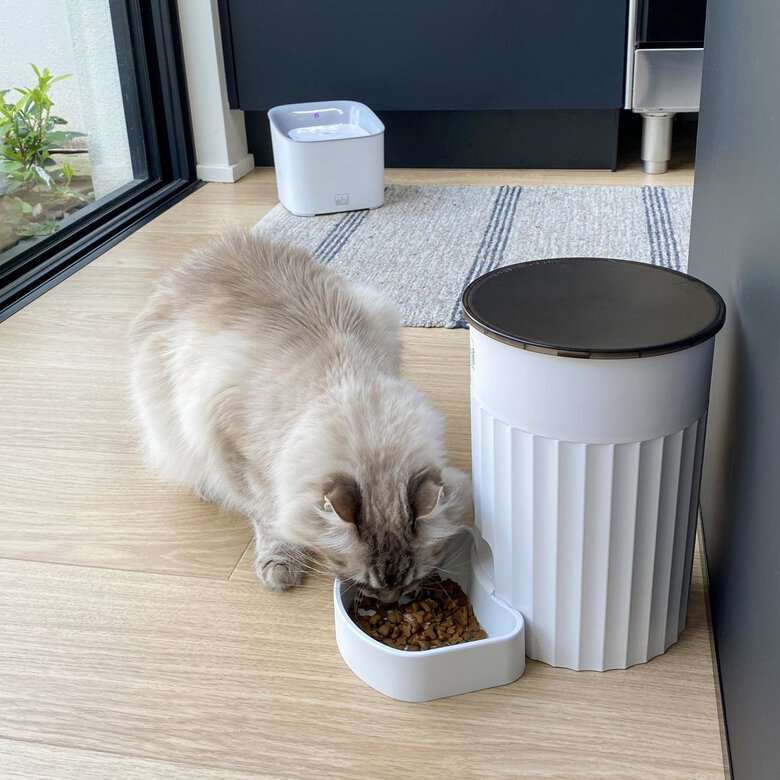 Ebi - Distributeur automatique intelligent Talakona 3L - 18x18x26cm blanc Image numéro 3 Ebi - Distributeur automatique intelligent Talakona 3L - 18x18x26cm blanc Image numéro 3