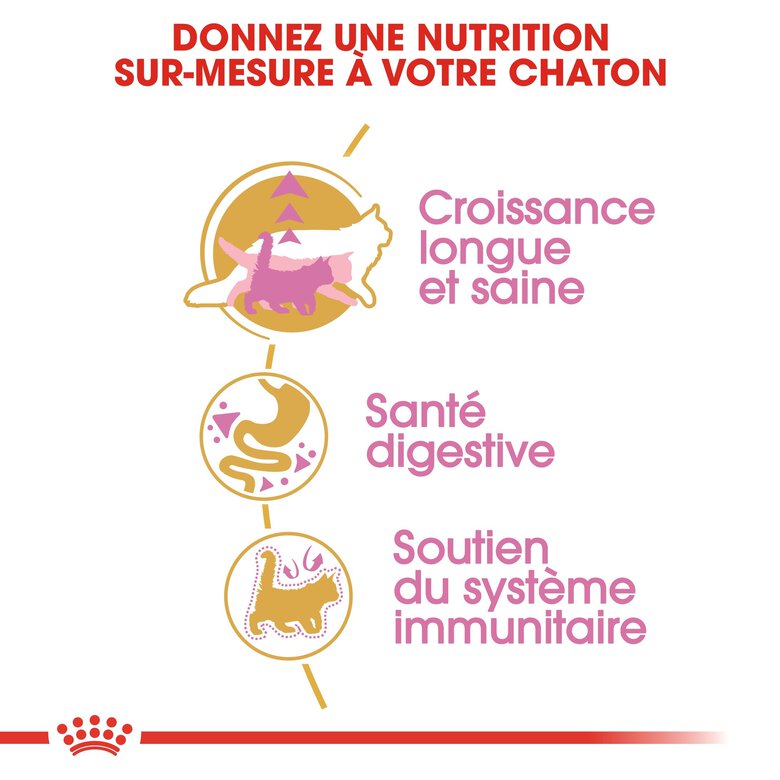 Royal Canin - Croquettes Maine Coon pour Chaton - 2Kg Image numéro 4 Royal Canin - Croquettes Maine Coon pour Chaton - 2Kg Image numéro 4