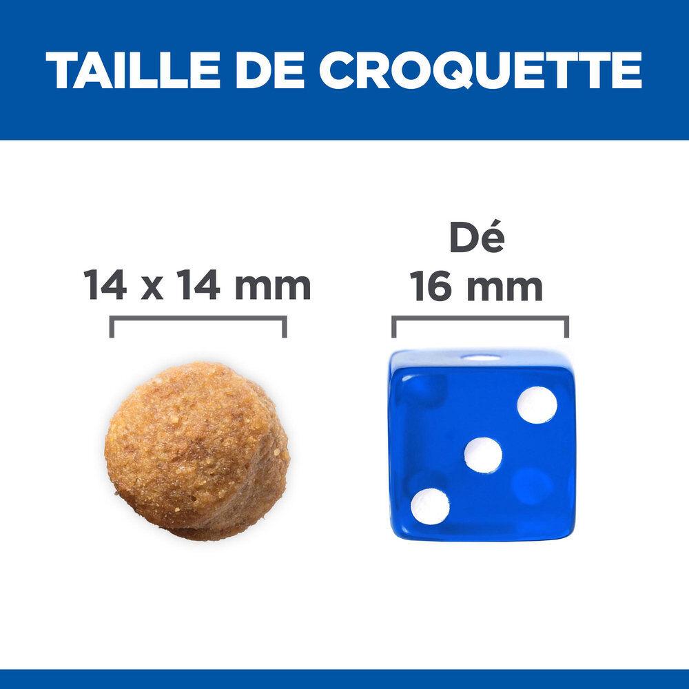 Hill's Science Plan - Adult Croquettes Pour Grand Chien A L'agneau Et Riz  - 12kg Image num&eacute;ro 4