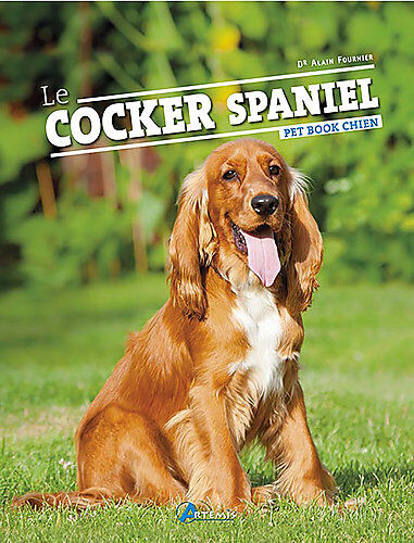Art&eacute;mis - Le Cocker Spaniel Image num&eacute;ro 1