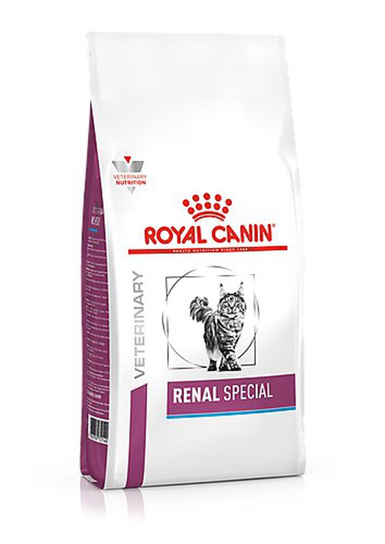Royal Canin - Croquettes Veterinary Diet Renal Special pour Chat - 2Kg image number null