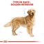 Royal Canin - Croquettes Golden Retriever pour Chien Adulte - 12Kg Indicateur image numéro 3
