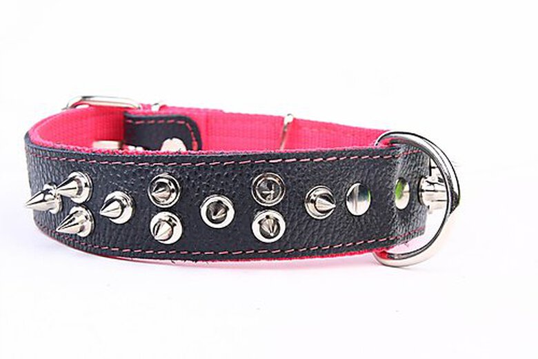 Yogipet - Collier Large Cuir Pointe T65 41/57cm pour Chien - Rose image number null