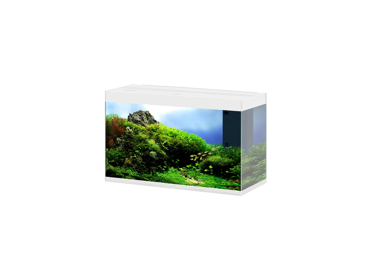 Ciano - Aquarium Emotions Nature Pro 100 - Blanc image number null