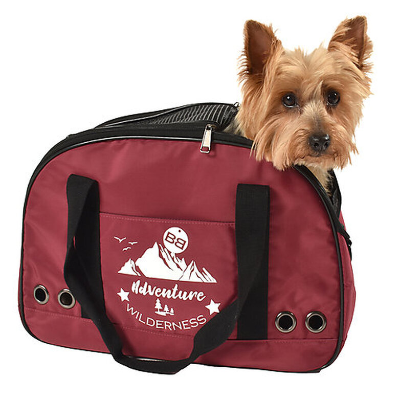Bobby - Sac Aventure Framboise pour Chien - 45cm image number null