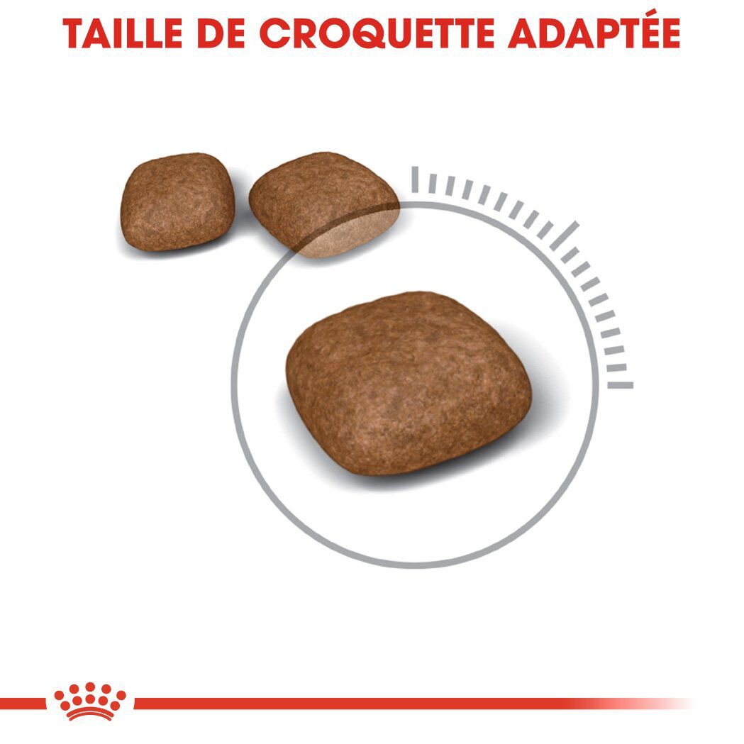 Royal Canin - Croquettes Urinary Care pour Chat - 400g Image num&eacute;ro 3
