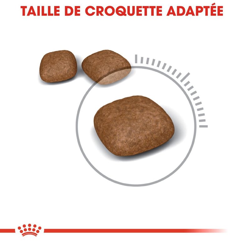 Royal Canin - Croquettes Urinary Care pour Chat - 400g Image numéro 3 Royal Canin - Croquettes Urinary Care pour Chat - 400g Image numéro 3