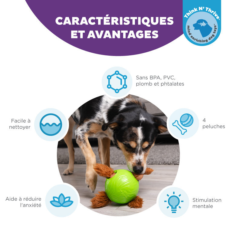 Outward Hound - Jouet Balle à Renifler Dog Snuffle N' Treat - 12,7cm Image numéro 3 Outward Hound - Jouet Balle à Renifler Dog Snuffle N' Treat - 12,7cm Image numéro 3