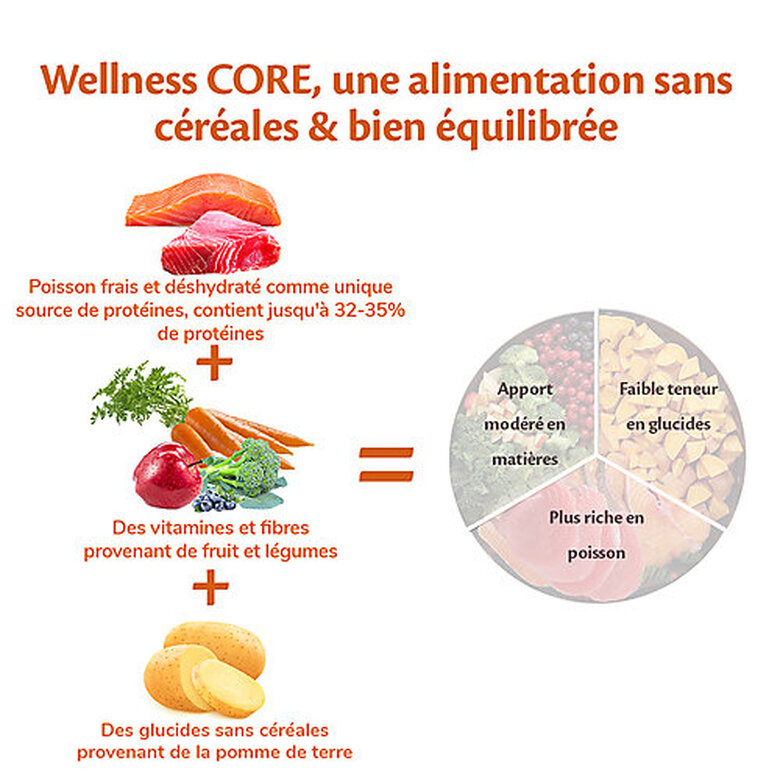 Wellness CORE - Croquettes Océan Saumon et Thon pour Chien - 1,8Kg image number null