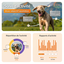 Weenect - Collier GPS XT Chiens - Orange Indicateur image numéro 4