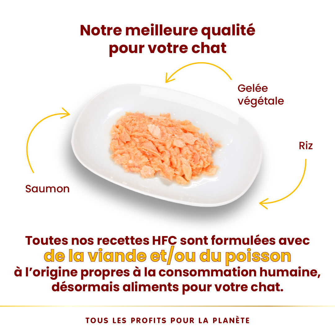 Almo Nature - P&acirc;t&eacute;e en Bo&icirc;te HFC Jelly Saumon pour Chat - 70g Image num&eacute;ro 3