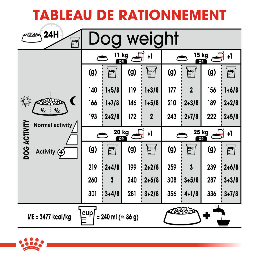 Royal Canin - Croquettes Medium Adult Sterilised pour Chien - 12Kg Image num&eacute;ro 2