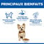Hill's Science Plan - Adult Small & Mini Croquettes Pour Petit Chien Au Poulet  -  1,5kg Indicateur image num&eacute;ro 7