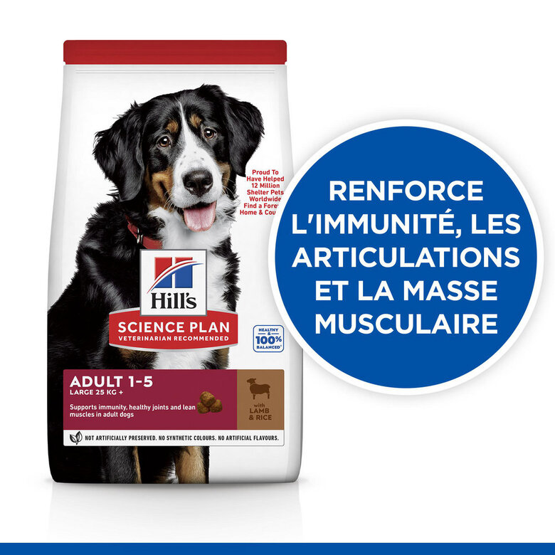Hill's Science Plan - Adult Croquettes Pour Grand Chien A L'agneau Et Riz  - 12kg Image numéro 2 Hill's Science Plan - Adult Croquettes Pour Grand Chien A L'agneau Et Riz  - 12kg Image numéro 2