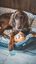 Tyrol -  Jouet Peluche Pizza pour Chien - 17cm Indicateur image numéro 5