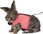 Trixie - Harnais Doux avec Laisse pour Grand Lapin - 40cm Indicateur image numéro 4