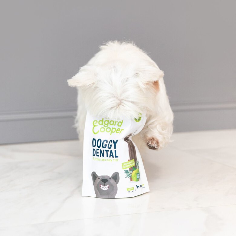 Edgard & Cooper - Sticks à Mâcher Dental Naturel à l'Eucalyptus et Pomme fraiche pour Chien - S Image numéro 3 Edgard & Cooper - Sticks à Mâcher Dental Naturel à l'Eucalyptus et Pomme fraiche pour Chien - S Image numéro 3