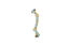 Tootoy! - Corde Multi Textures - S Indicateur image numéro 1