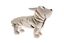 Ferribiella - Doudoune Cristallo Beige pour Chiens - 43cm Indicateur image numéro 1