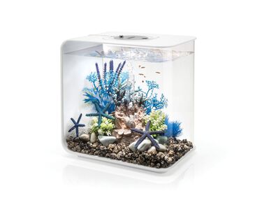 biOrb - Aquarium Flow - 30 mcr blanc
