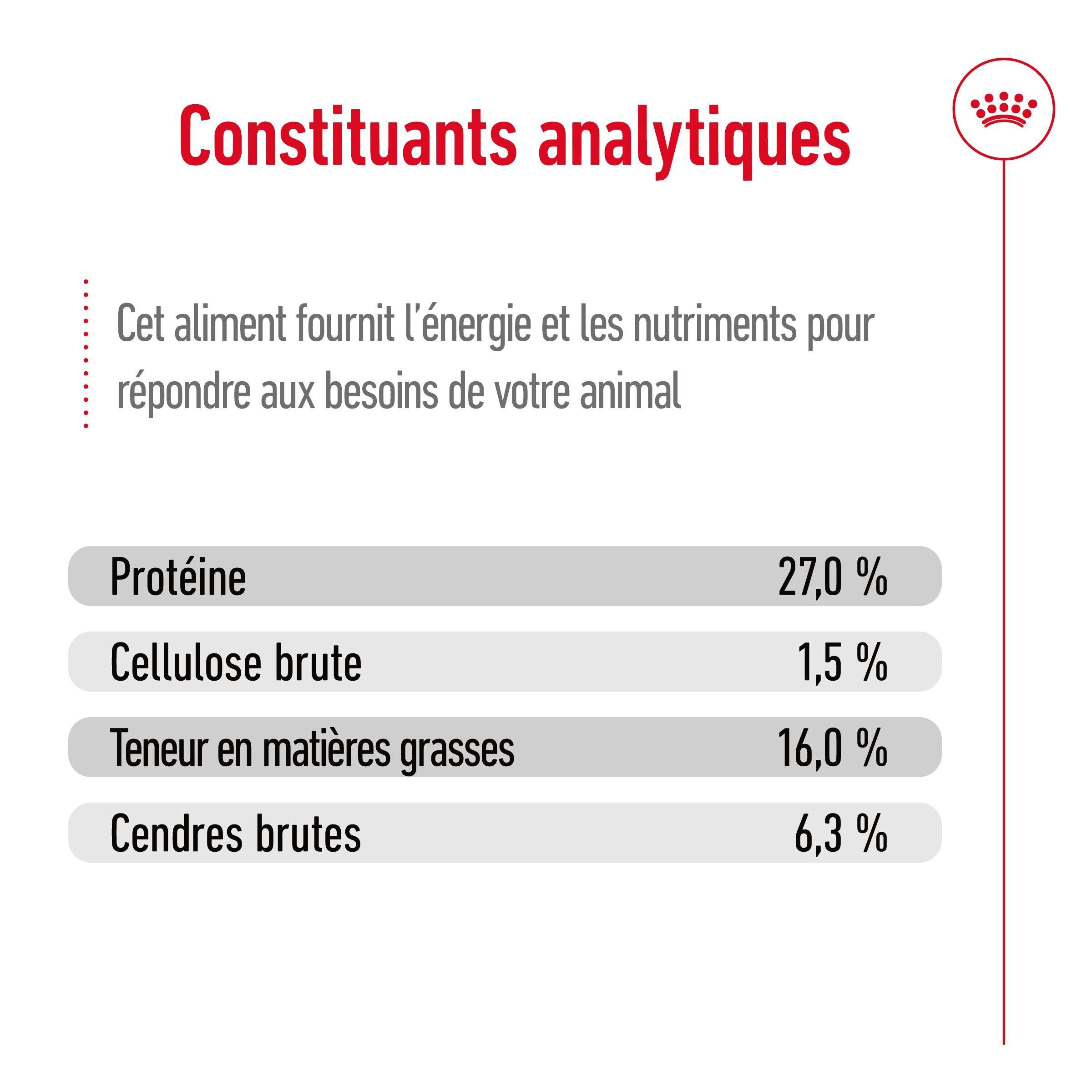 Royal Canin - Croquettes Mini 8+ pour Chien Adulte - 4Kg Image num&eacute;ro 6