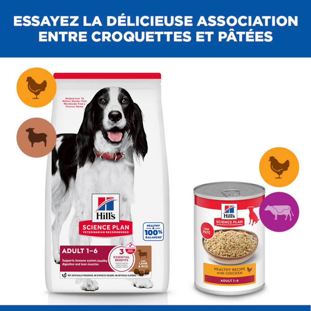 Hill's Science Plan - Adult Croquettes Pour Chien A L'agneau Et Riz  - 12kg Image num&eacute;ro 13