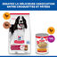 Hill's Science Plan - Adult Croquettes Pour Chien A L'agneau Et Riz  - 12kg Indicateur image num&eacute;ro 13