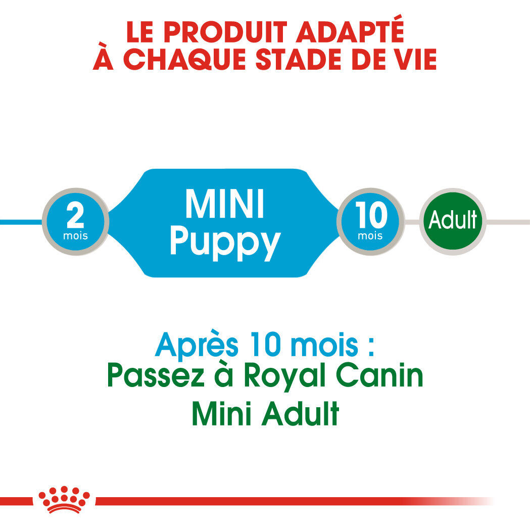 Royal Canin - Sachets Mini Puppy en Sauce pour Chiot - 12X85g Image num&eacute;ro 4
