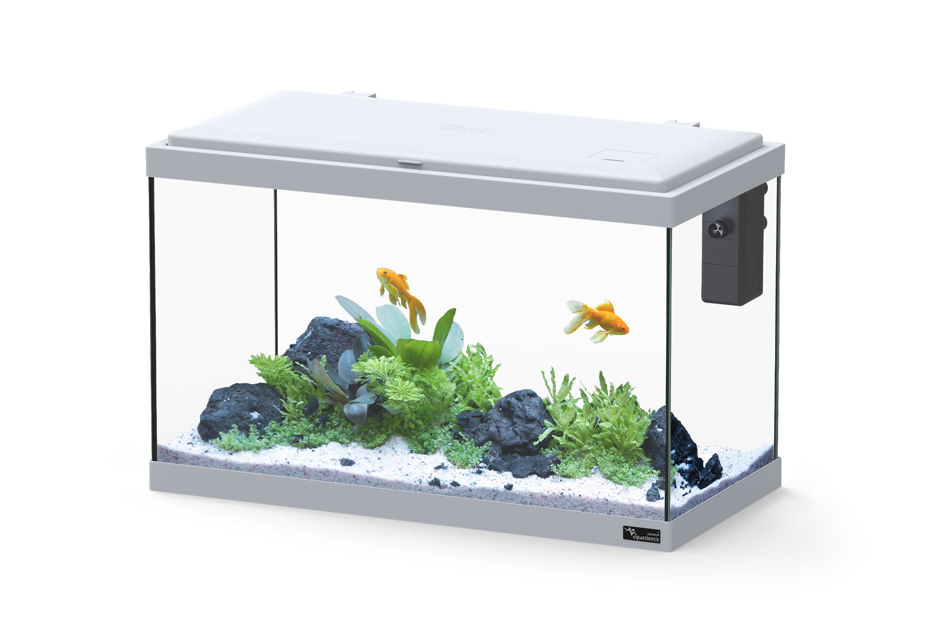 Aquatlantis - Aquarium Explorer Vienna avec Biofilter - Gris Image num&eacute;ro 1