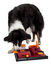 Dog Activity - Jouet Éducatif Poker Box 2 pour Chien Indicateur image numéro 4