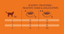 Nature's Variety - Croquettes Selected au Saumon pour Chat - 1,25Kg Indicateur image num&eacute;ro 5