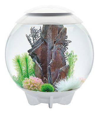 biOrb - Aquarium Halo 60 mcr blanc
