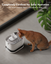 Petlibro - Fontaine à Eau Automatique - 2,5L Indicateur image numéro 5